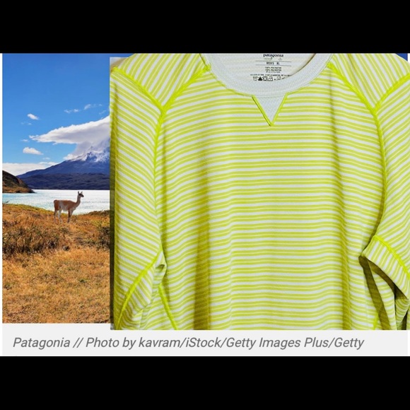 Patagonia Other - PATAGONIA CAPILENE 3 MIDWEIGHT LONG SLEEVE YEL XL